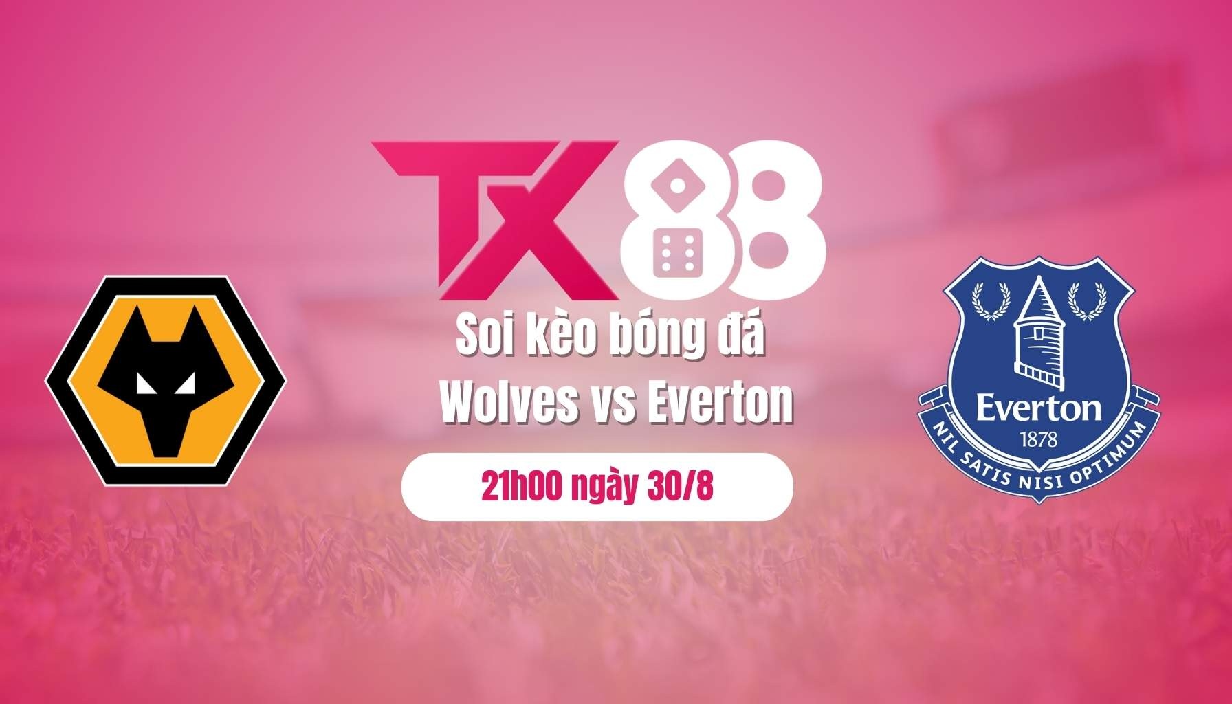TX88 Soi kèo bóng đá Wolves vs Everton, 21h00 ngày 30/8: Niềm vui đầu tiên dành cho Wolves!