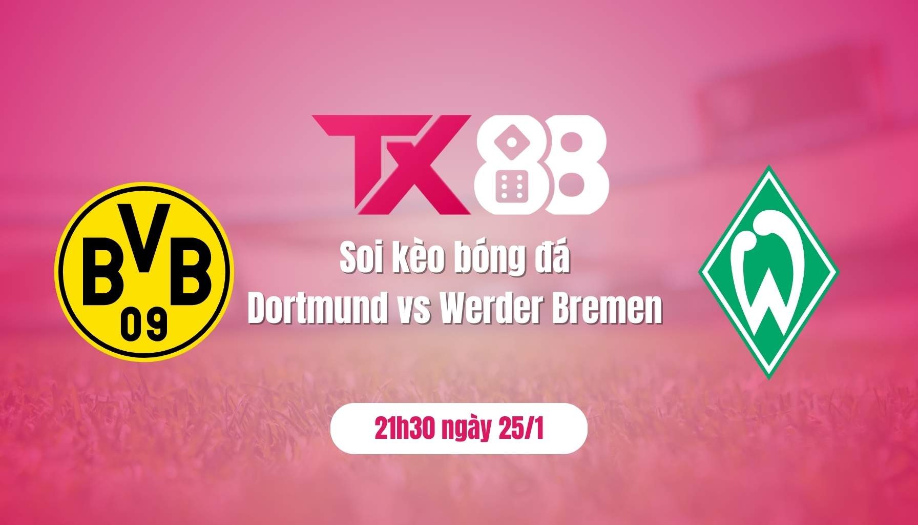 TX88 Soi kèo bóng đá Dortmund vs Werder Bremen, 21h30 ngày 25/1: Dortmund 'chém tướng' đổi vận?