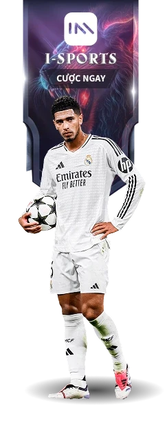 TX88 isports