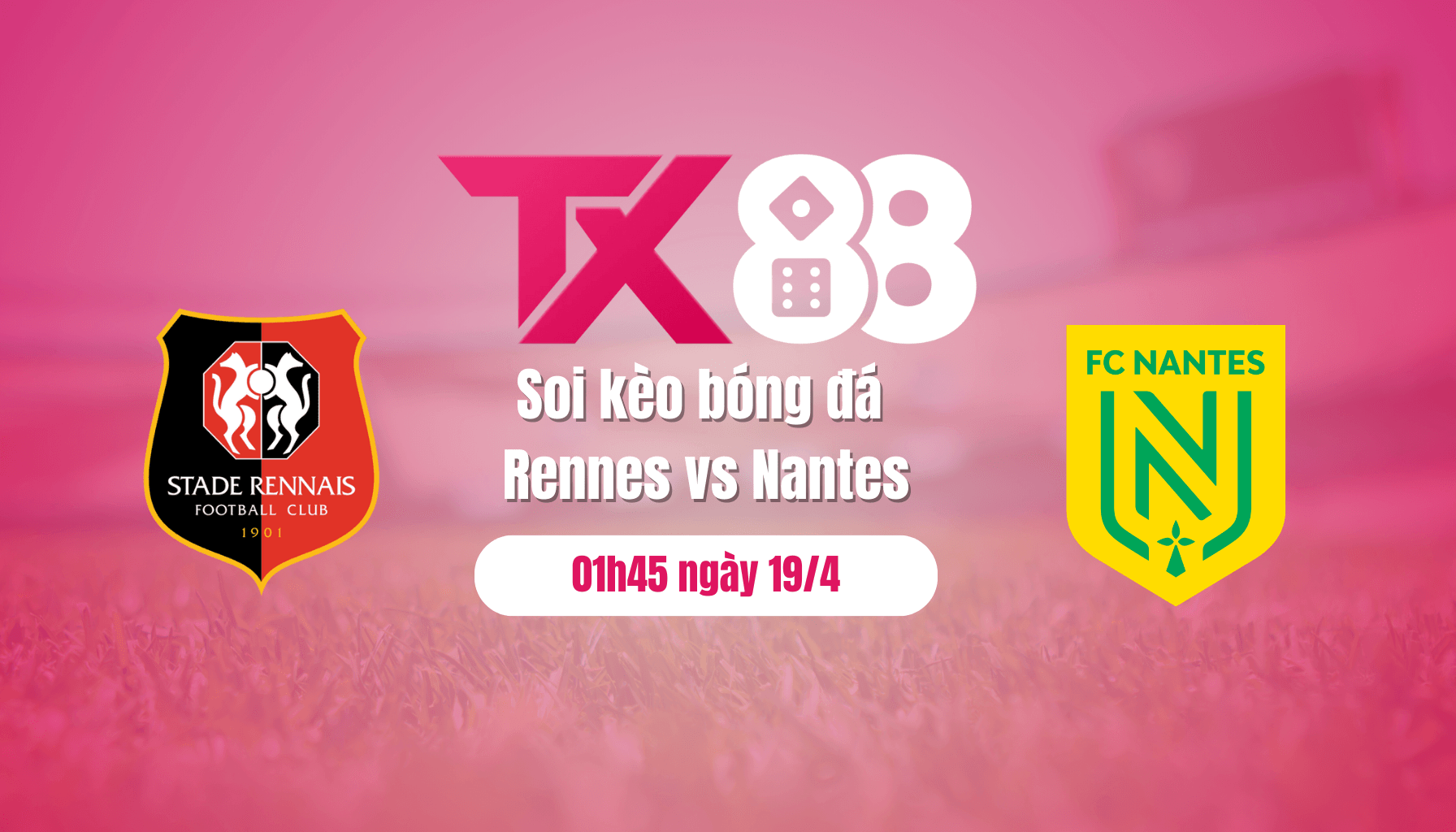 TX88 Soi kèo bóng đá Rennes vs Nantes, 01h45 ngày 19/4: Chim hoàng yến hót vang